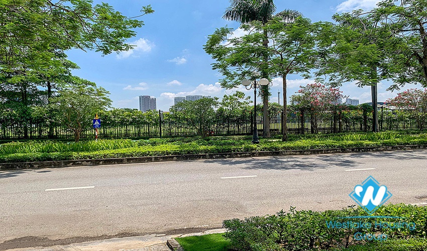 Newly renovated villa for rent in D Ciputra area near UNIS school near walking area and green park
